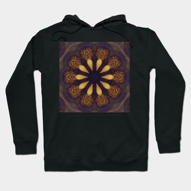 Mandalisa Kaleidoscope [textures] Pattern (Seamless) 2 Hoodie by Swabcraft